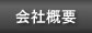 ЊTv